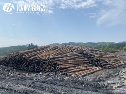 河道打樁為什么選擇松木樁來處理軟地基？-松木樁施工使用范圍